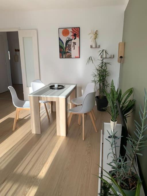 Appartement Le 48 Narbonne Kültér fotó